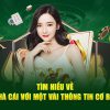 Lucky88-Link truy cập nhanh： Đơn giản  thuận tiện  hiệu quả!